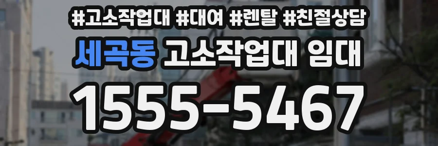 세곡동 고소작업대 임대