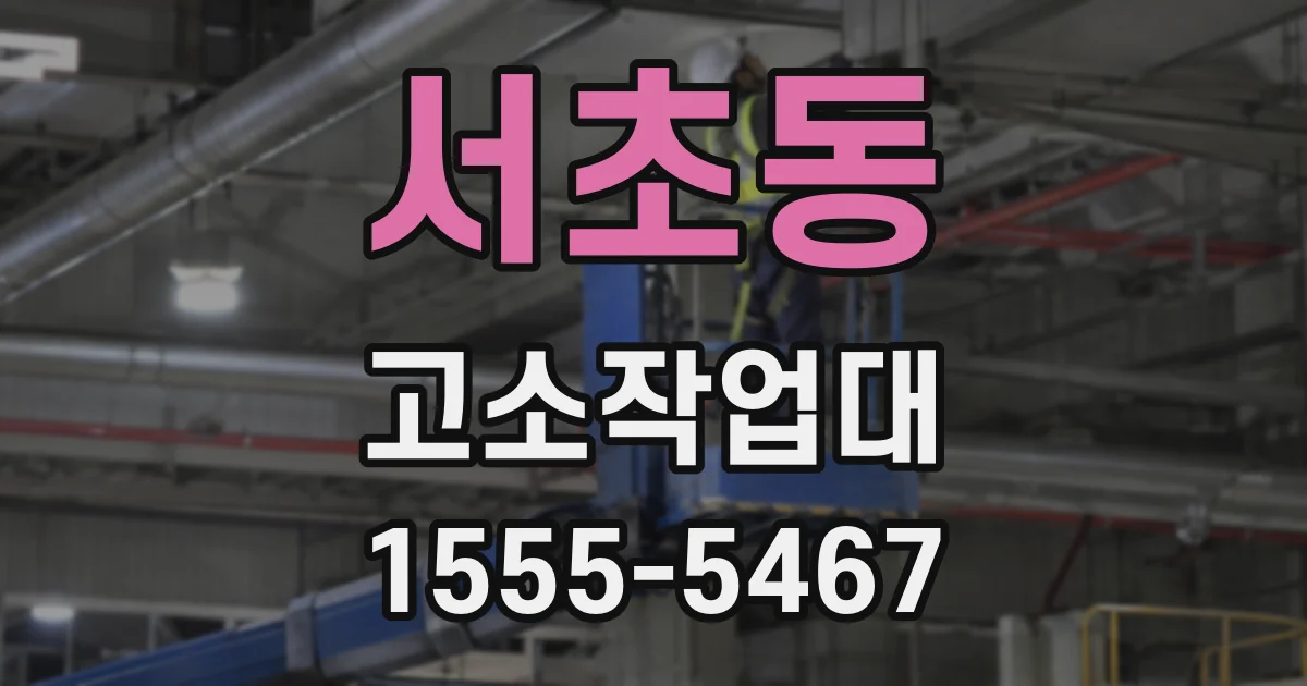 서초동 고소작업대