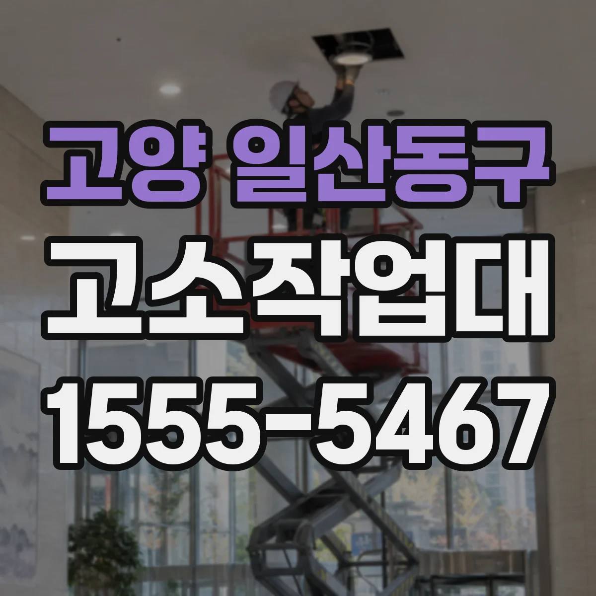 고양 일산동구 고소작업대