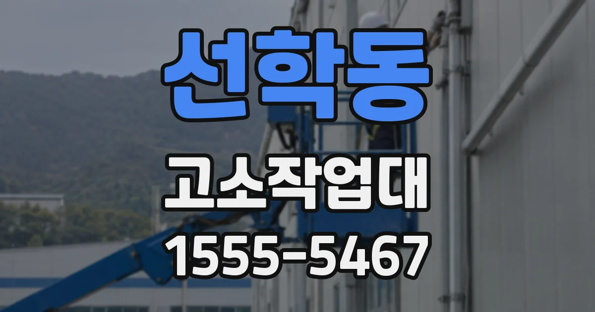 선학동 고소작업대