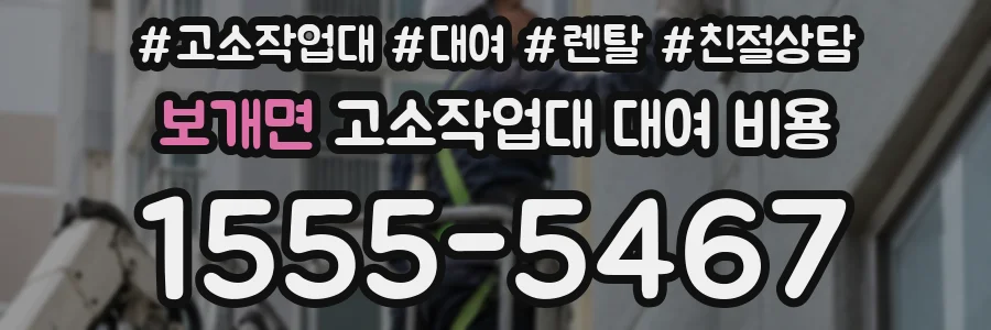 보개면 고소작업대 대여 비용