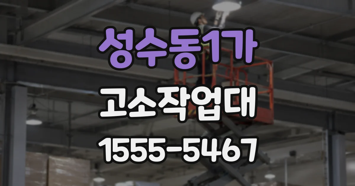 성수동1가 고소작업대