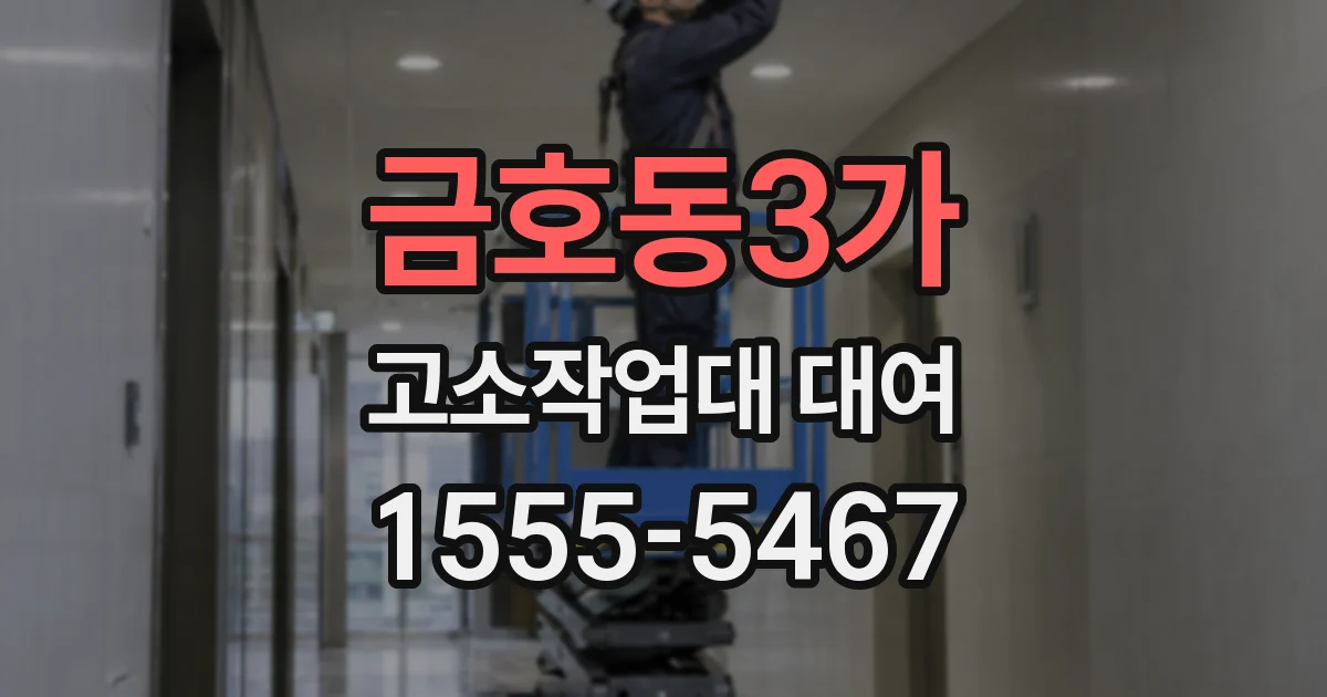 금호동3가 고소작업대 대여