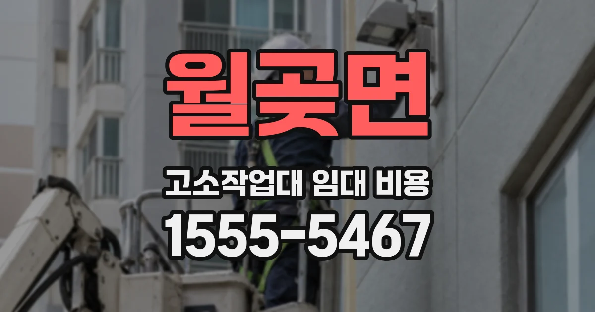 월곶면 고소작업대 임대 비용