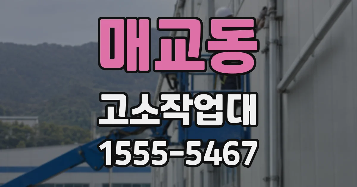 매교동 고소작업대