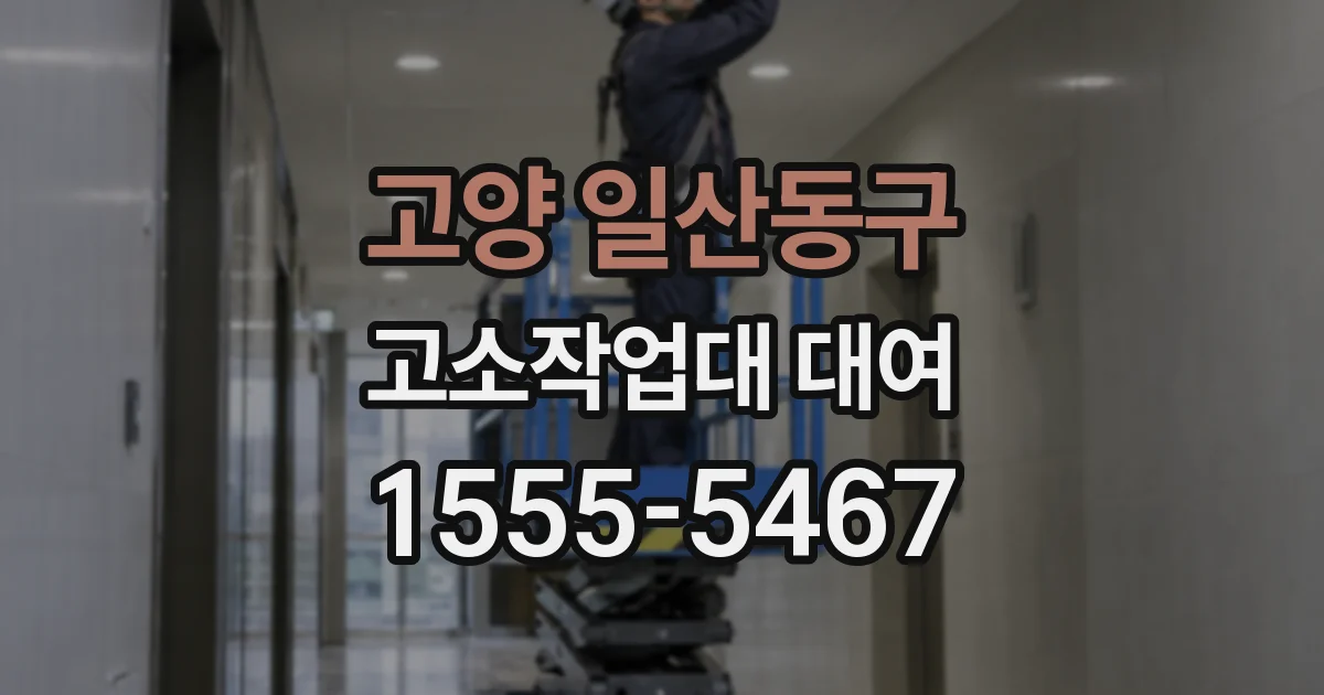 고양 일산동구 고소작업대 대여