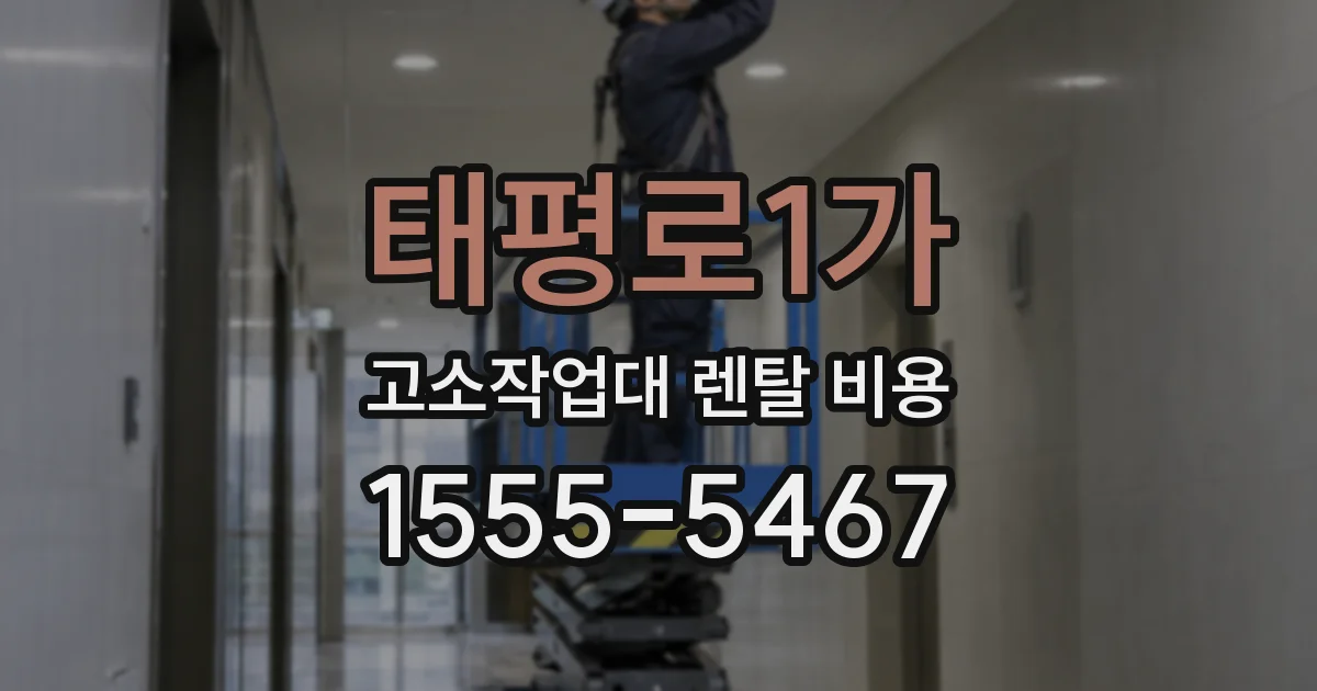 태평로1가 고소작업대 렌탈 비용