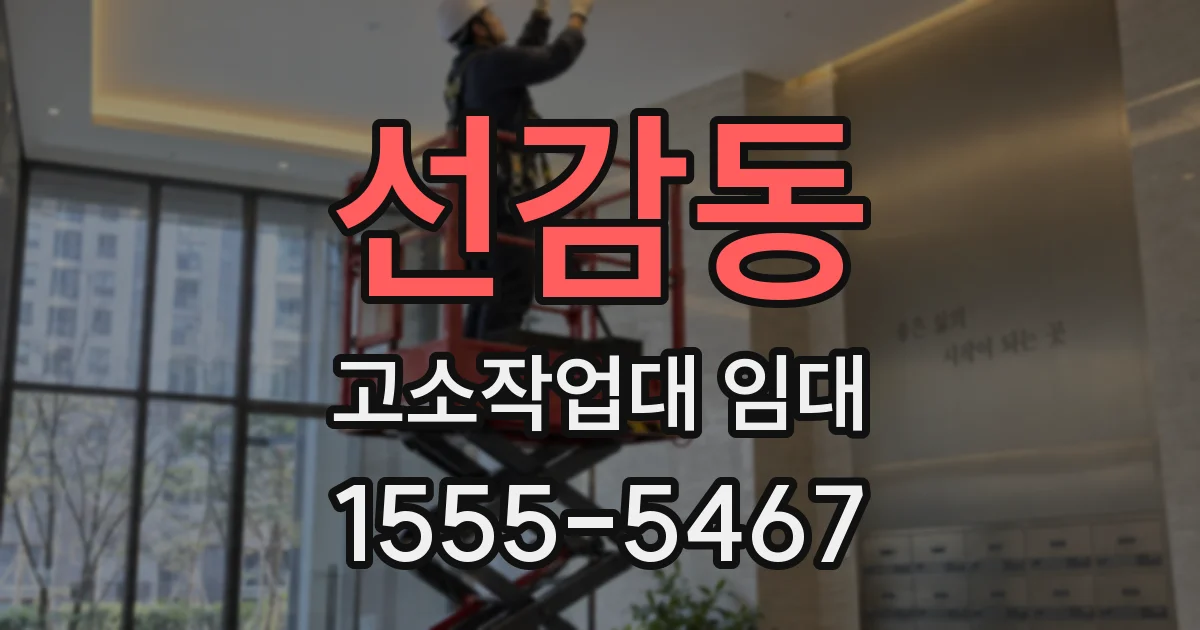 선감동 고소작업대 임대
