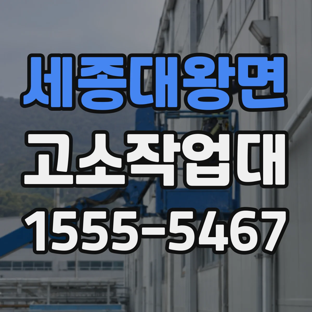 세종대왕면 고소작업대