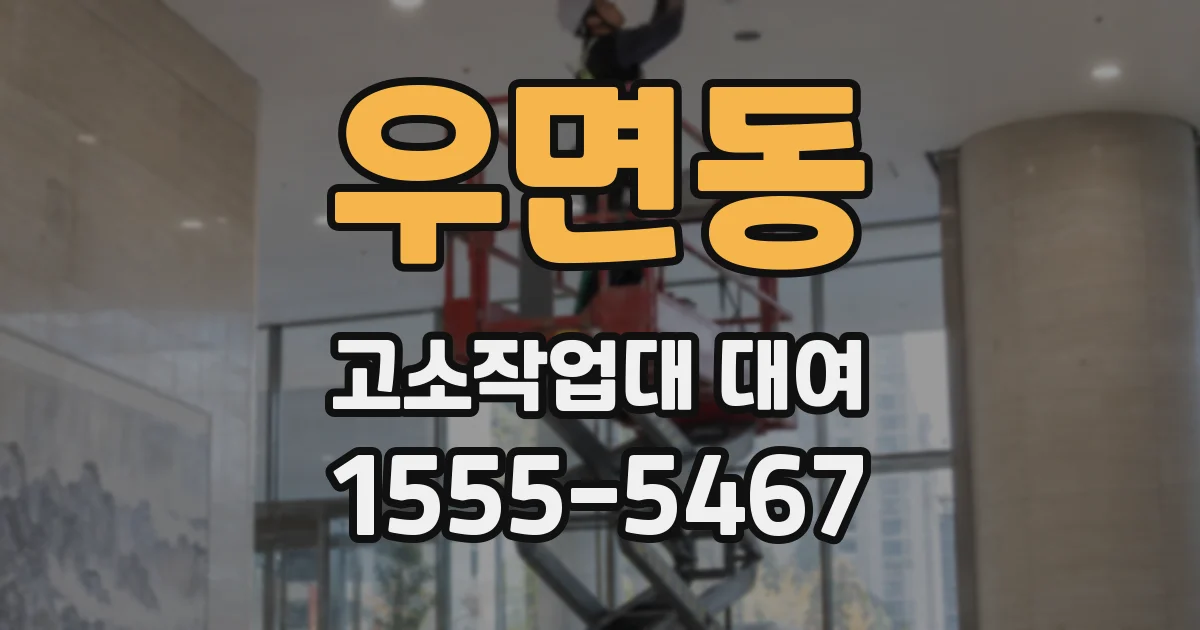 우면동 고소작업대 대여