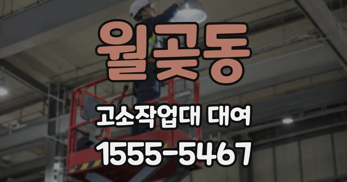월곶동 고소작업대 대여