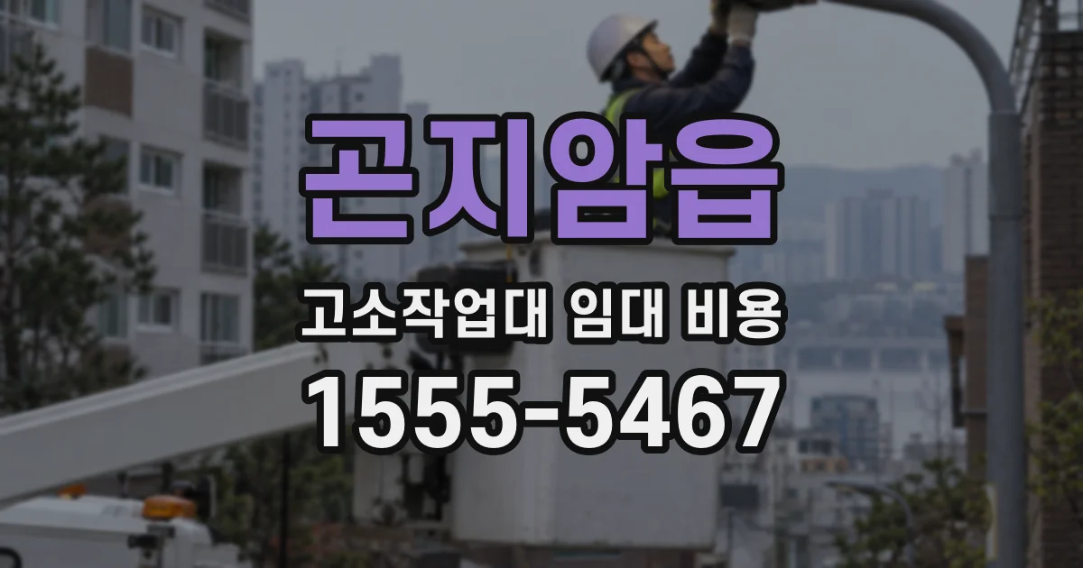 곤지암읍 고소작업대 임대 비용