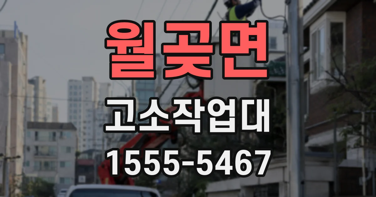 월곶면 고소작업대