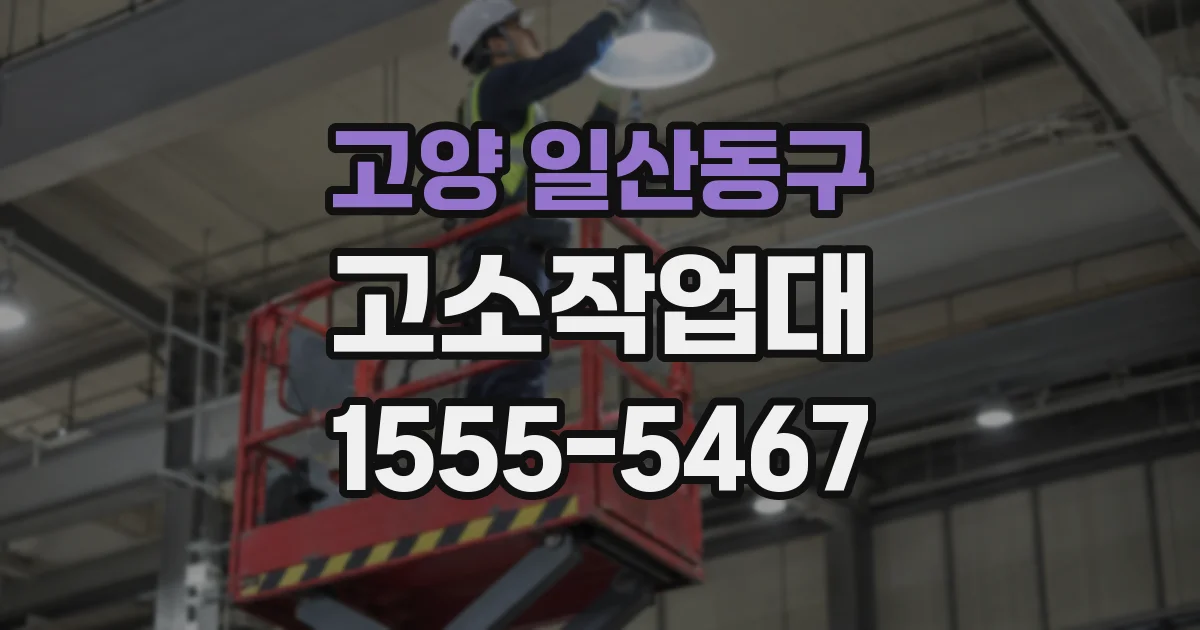 고양 일산동구 고소작업대