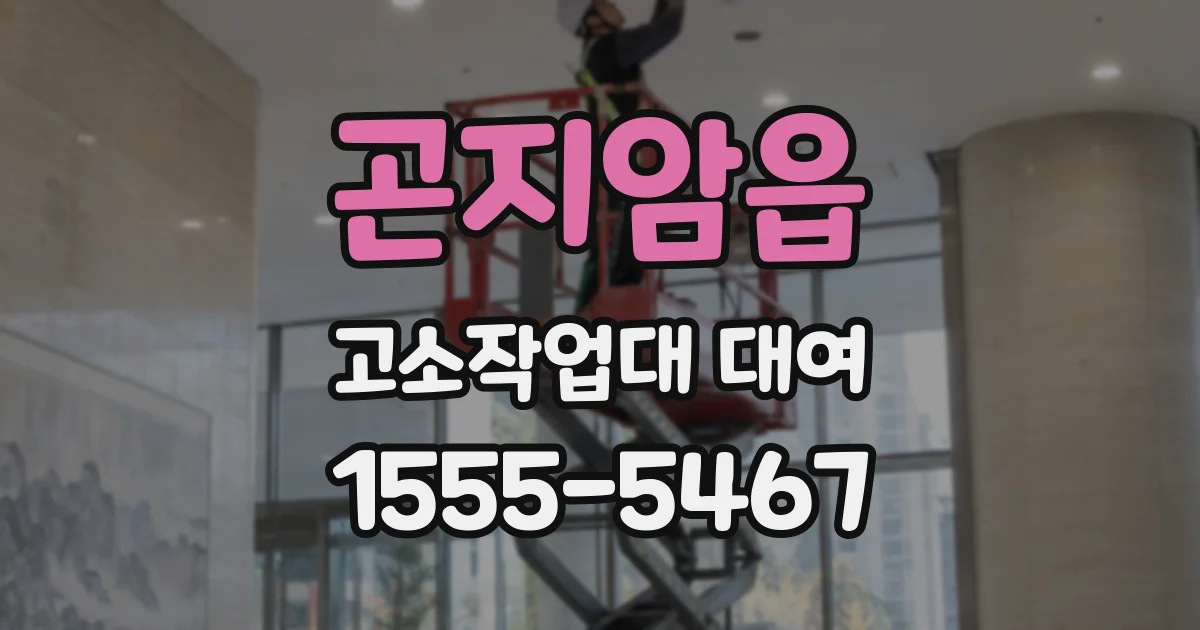 곤지암읍 고소작업대 대여