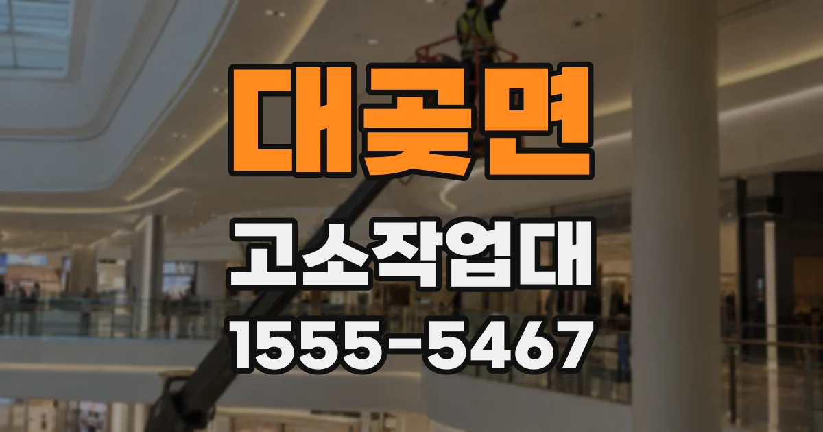 대곶면 고소작업대