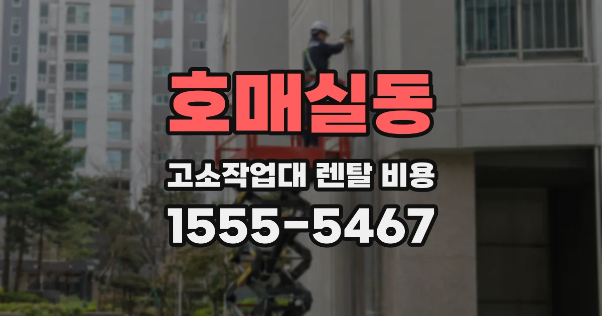 호매실동 고소작업대 렌탈 비용