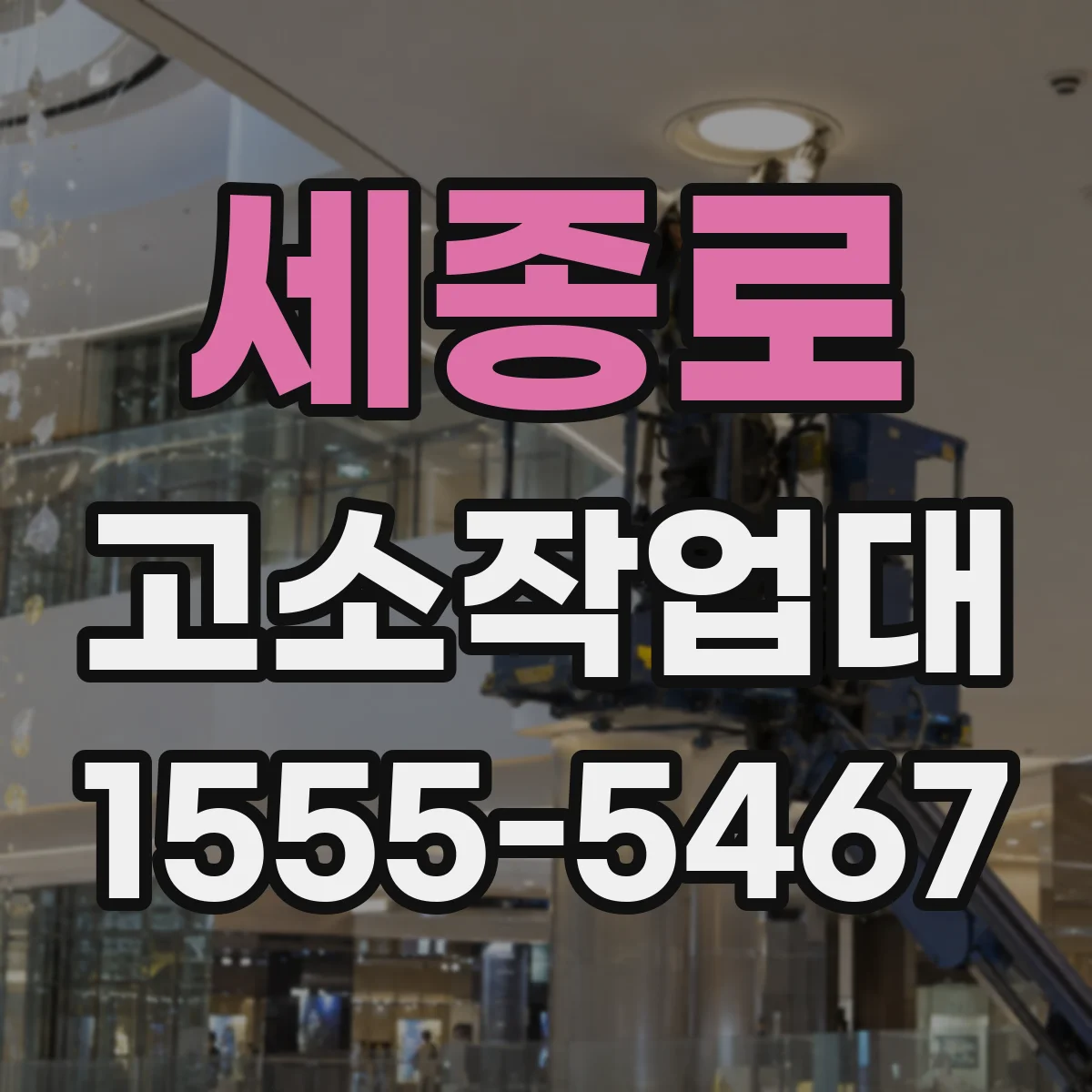 세종로 고소작업대