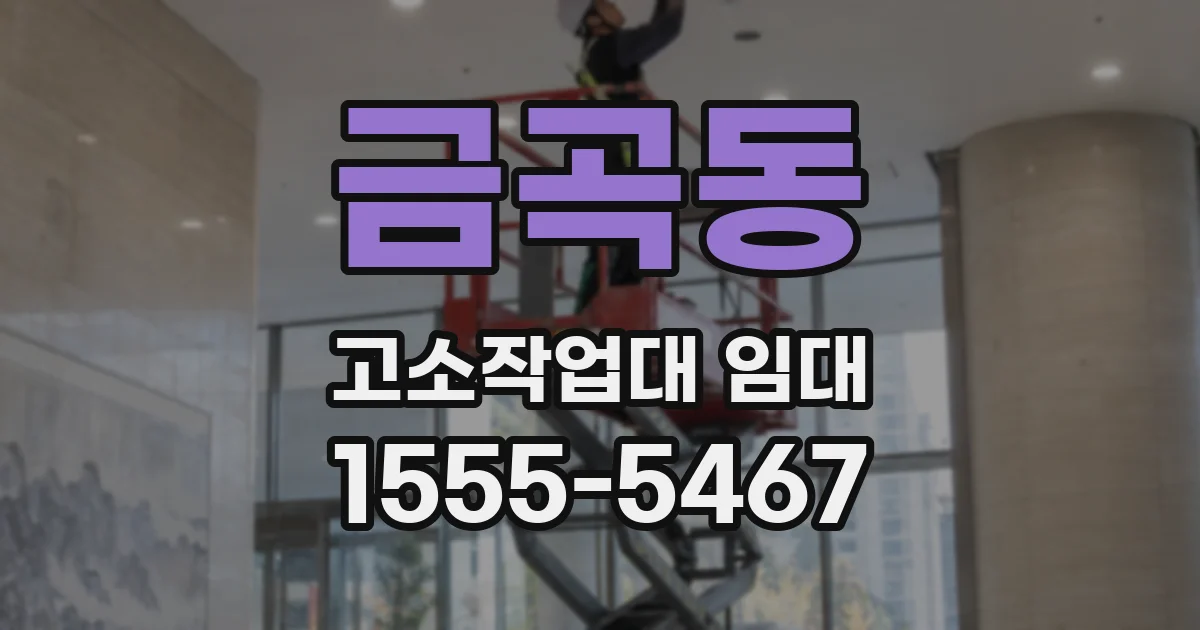 금곡동 고소작업대 임대