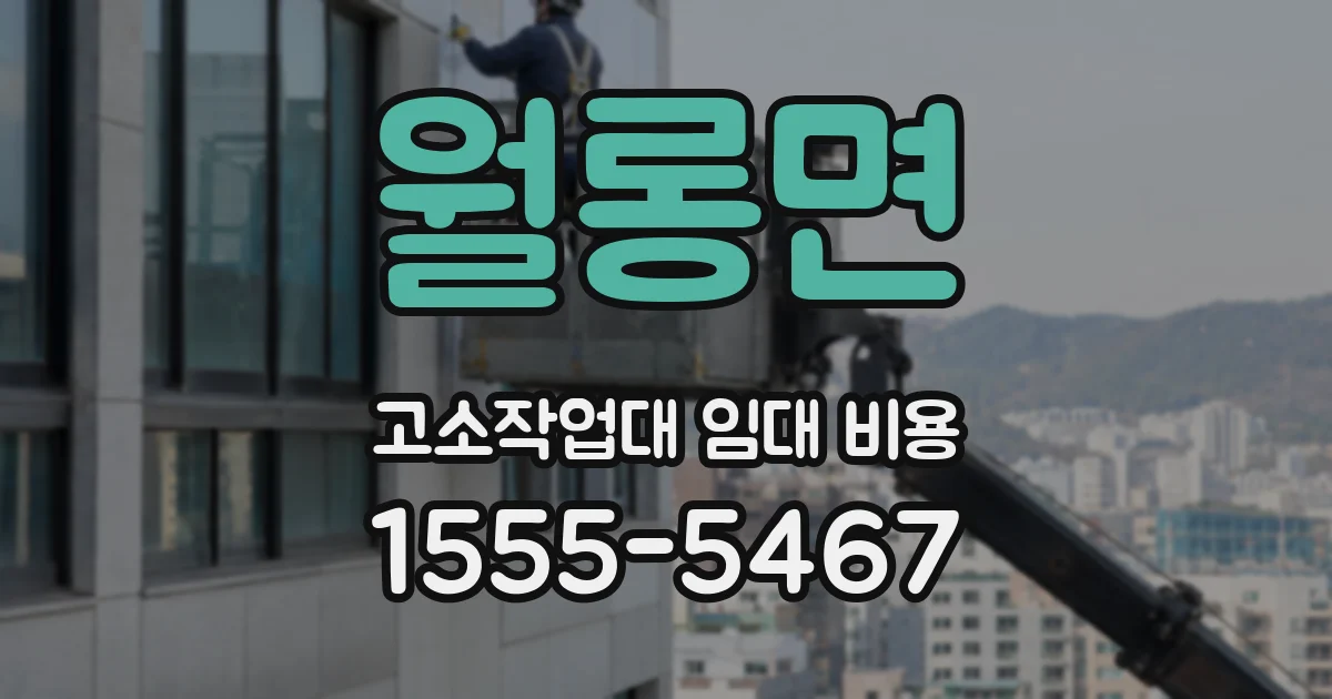월롱면 고소작업대 임대 비용