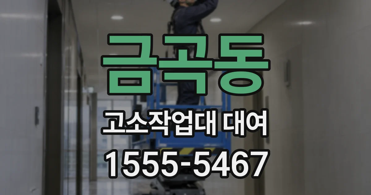 금곡동 고소작업대 대여