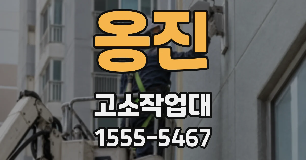 옹진 고소작업대