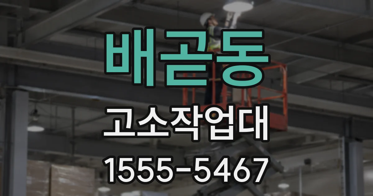 배곧동 고소작업대