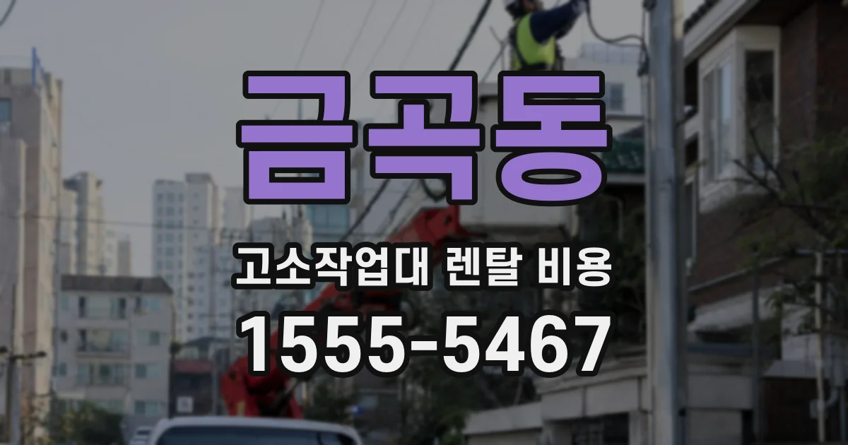 금곡동 고소작업대 렌탈 비용