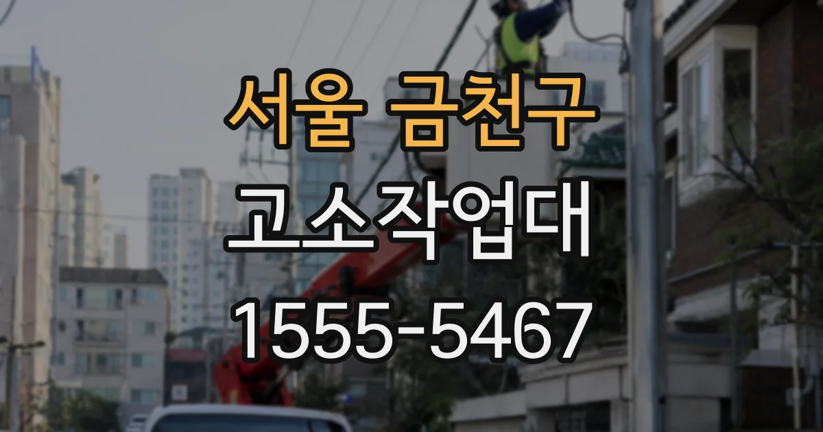 서울 금천구 고소작업대
