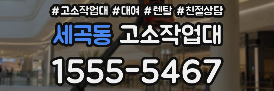 세곡동 고소작업대