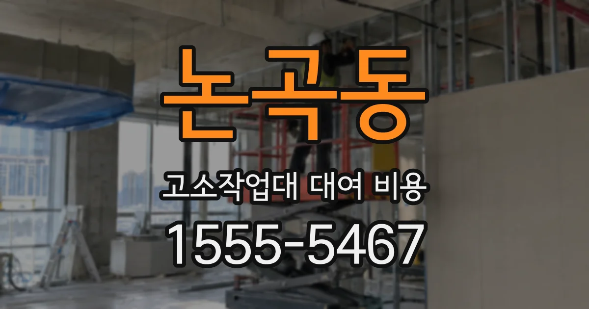 논곡동 고소작업대 대여 비용
