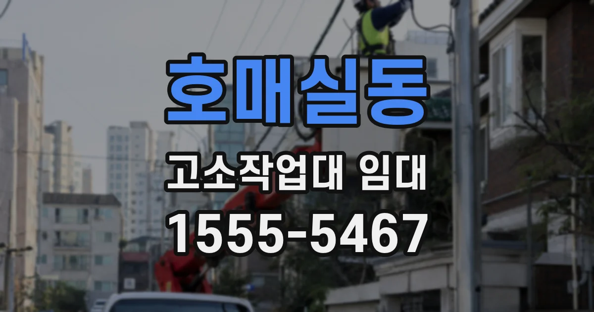 호매실동 고소작업대 임대