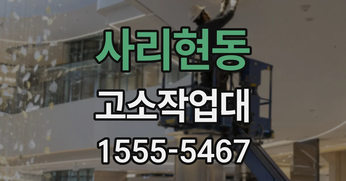 사리현동 고소작업대