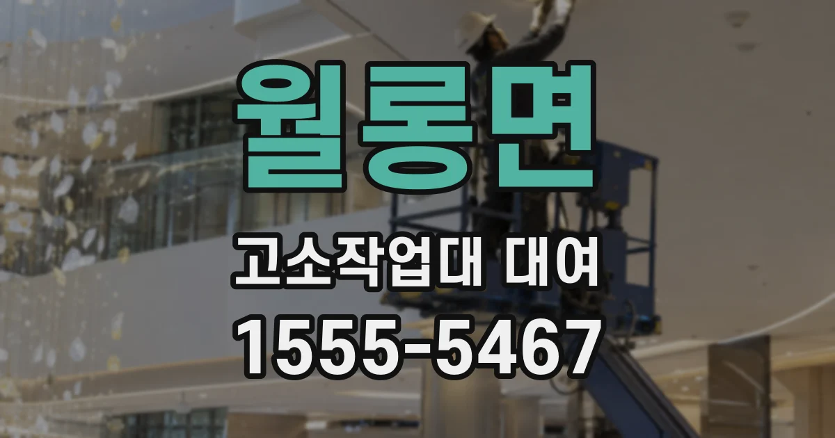 월롱면 고소작업대 대여
