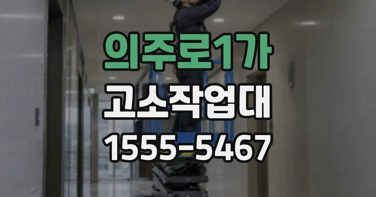 의주로1가 고소작업대
