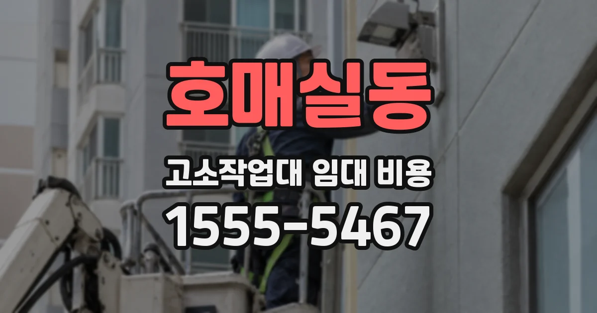 호매실동 고소작업대 임대 비용