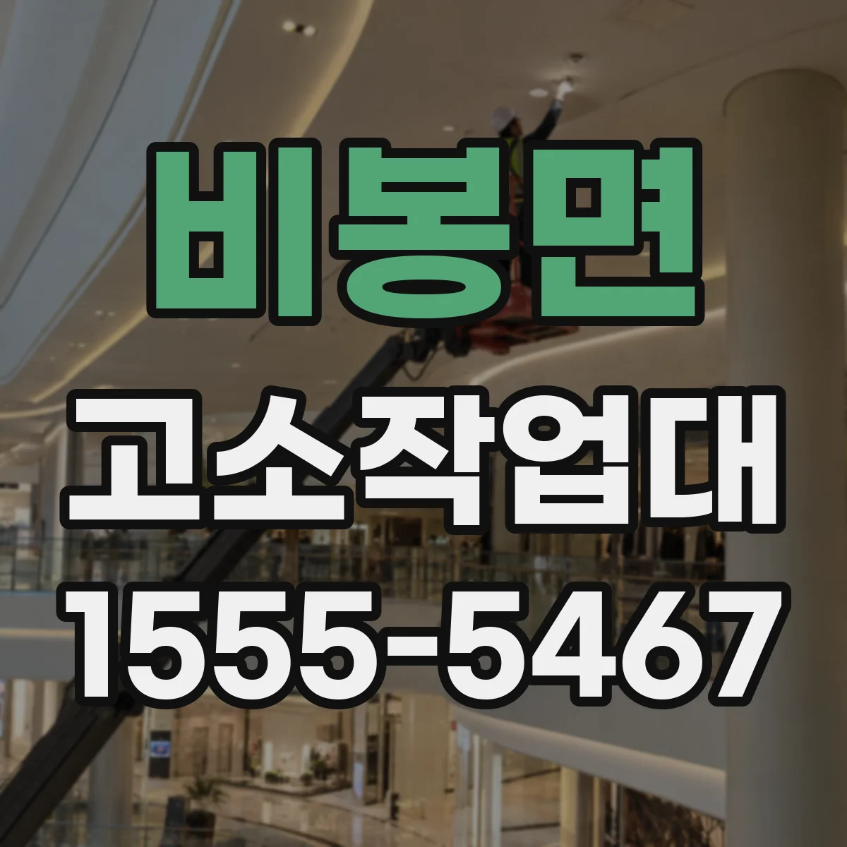 비봉면 고소작업대