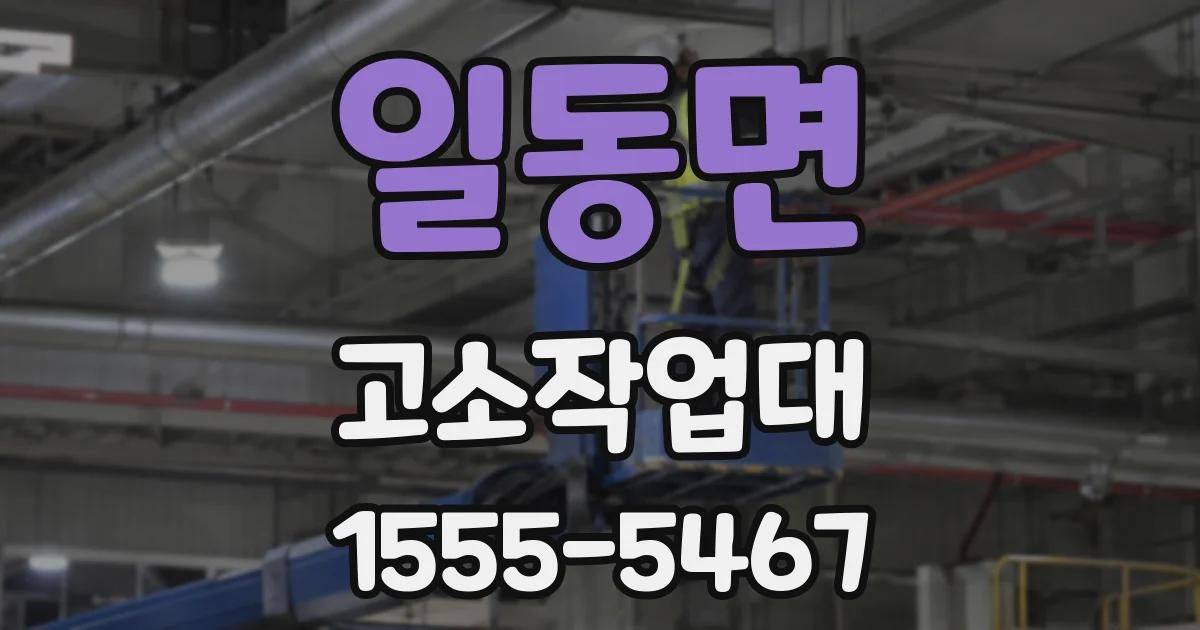 일동면 고소작업대