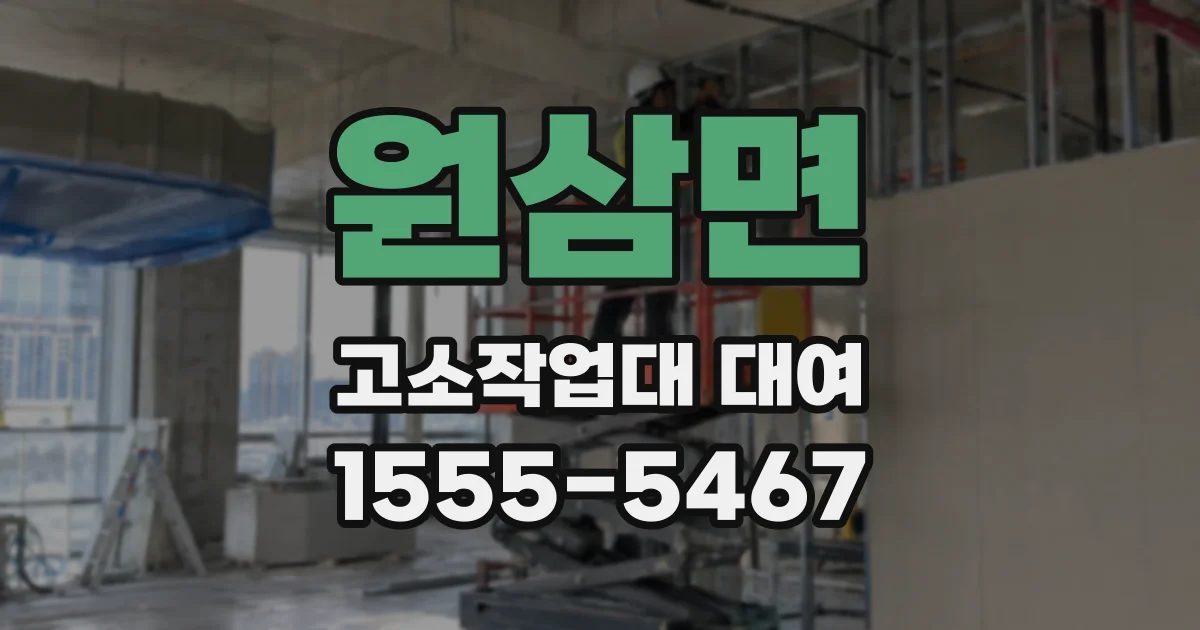 원삼면 고소작업대 대여