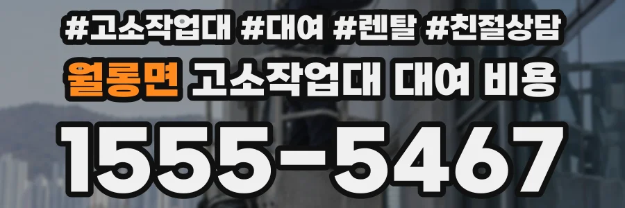 월롱면 고소작업대 대여 비용
