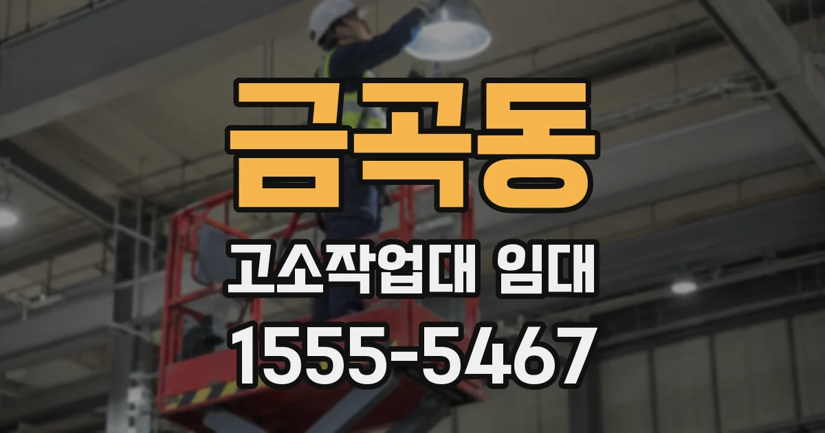 금곡동 고소작업대 임대