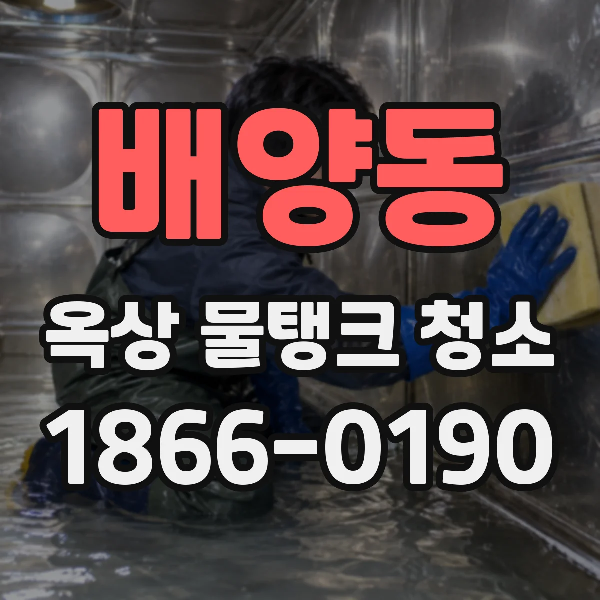 배양동 옥상 물탱크 청소