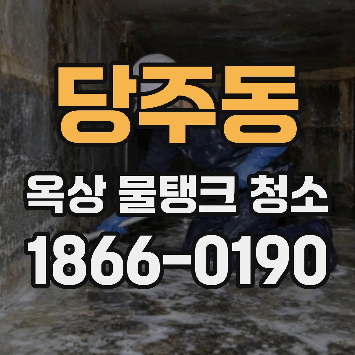 당주동 옥상 물탱크 청소
