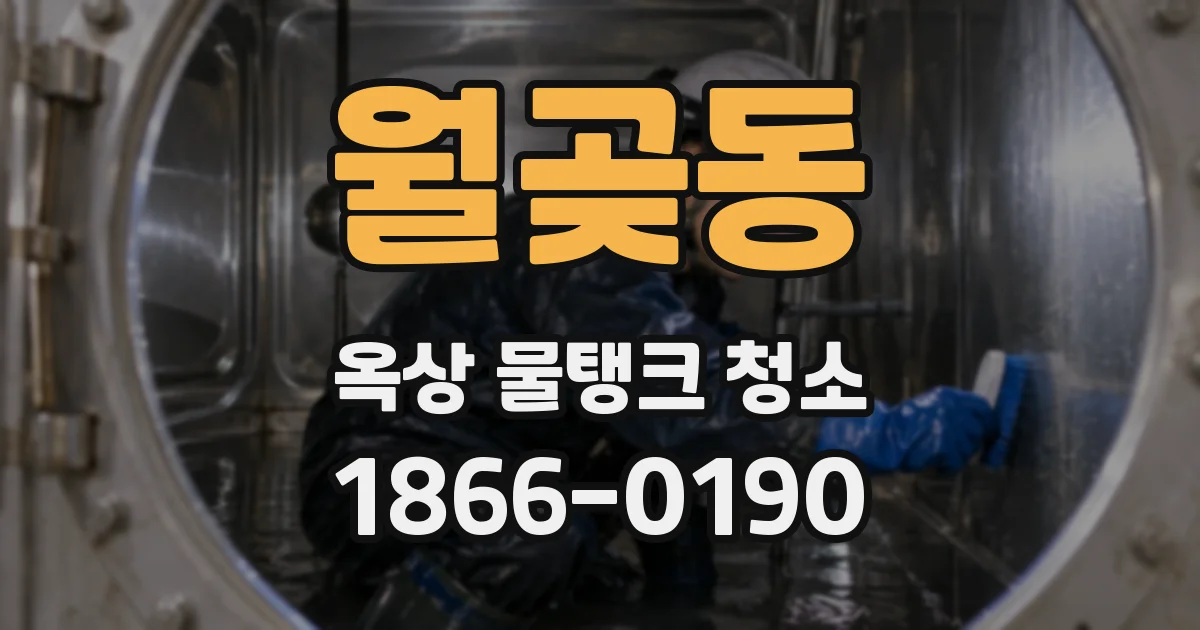 월곶동 옥상 물탱크 청소