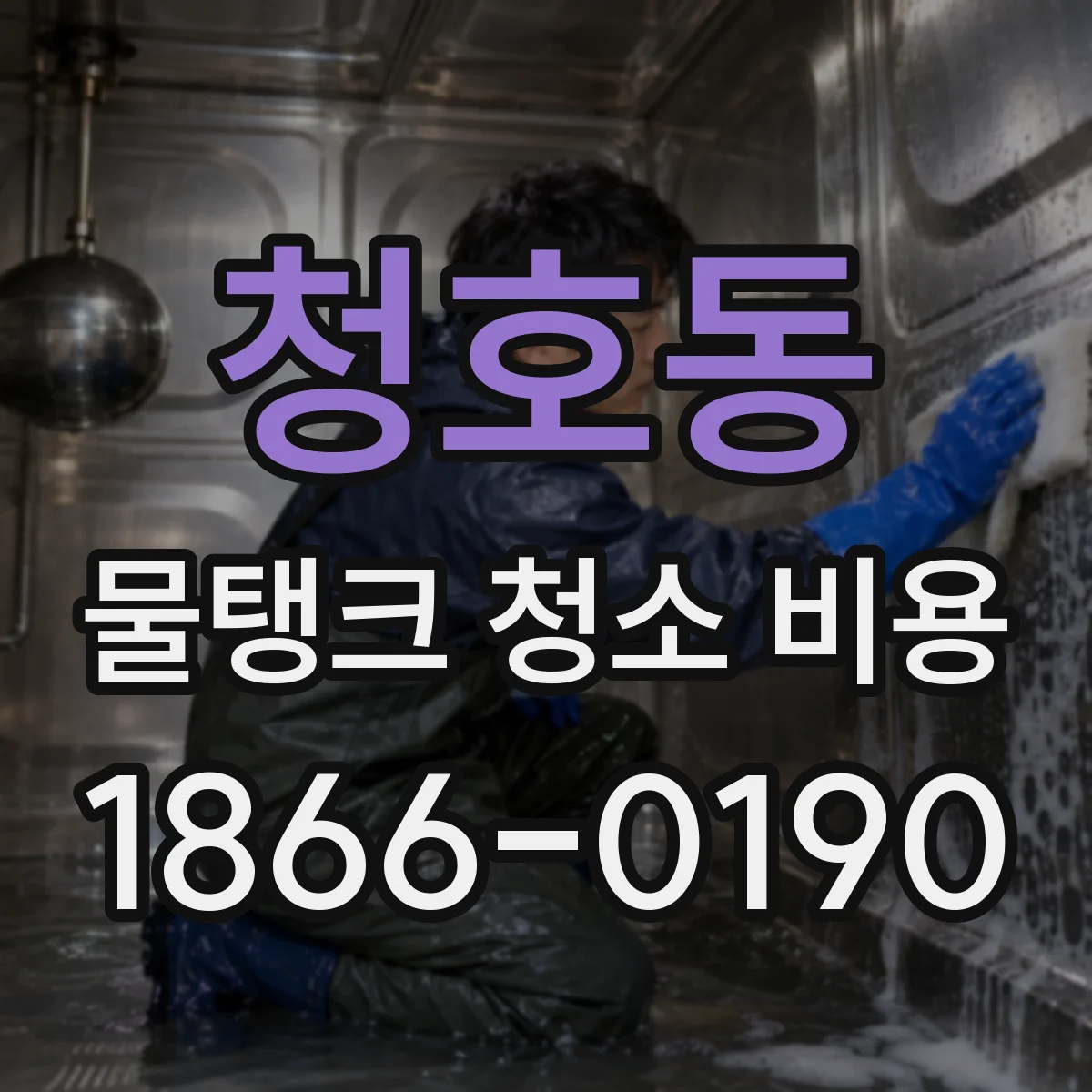 청호동 물탱크 청소 비용