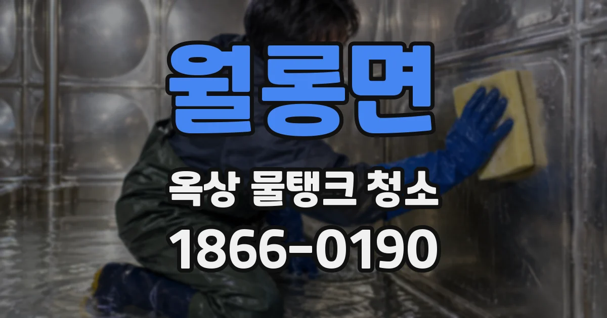 월롱면 옥상 물탱크 청소