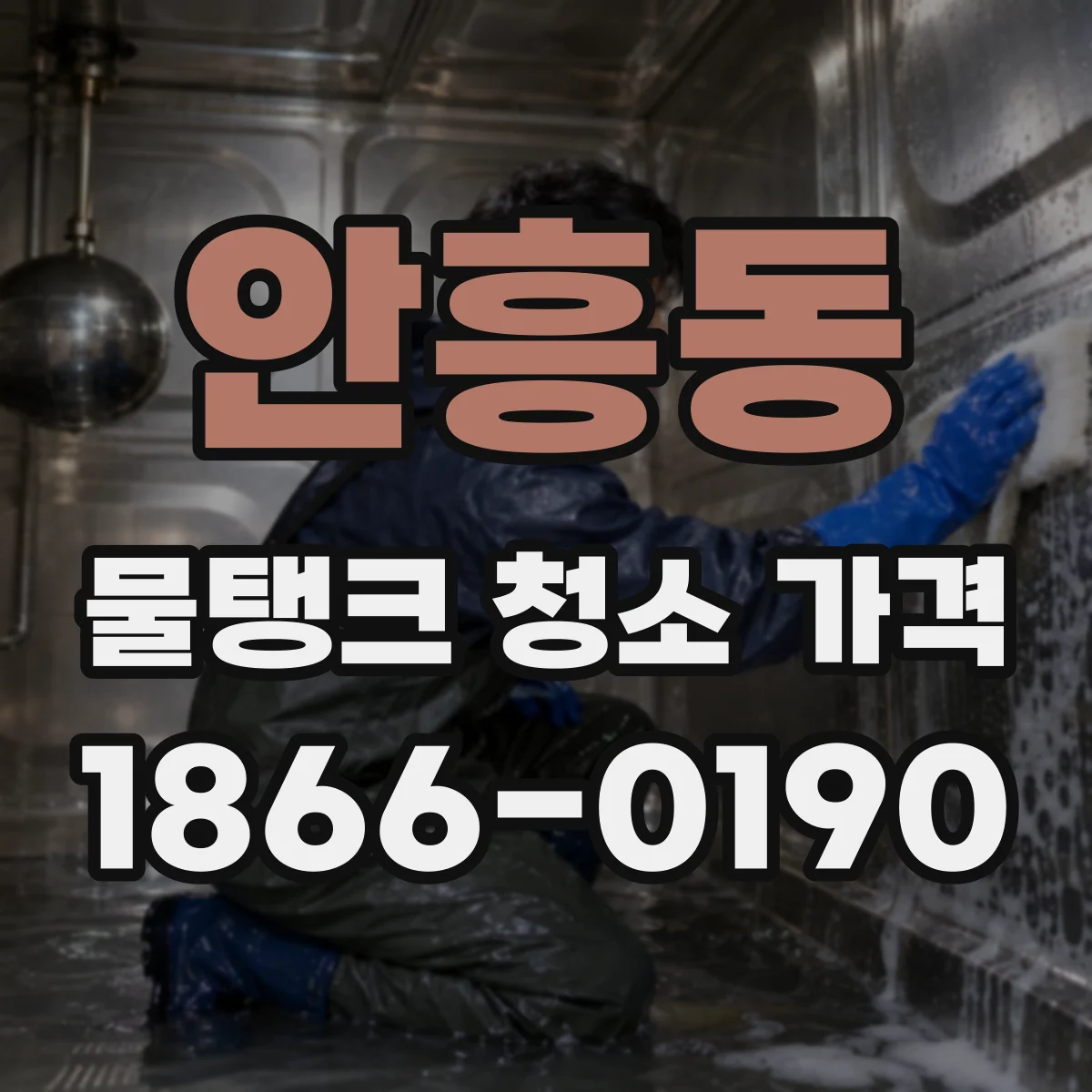안흥동 물탱크 청소 가격