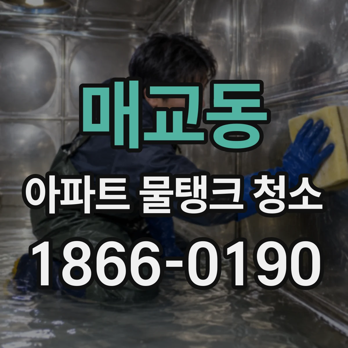 매교동 아파트 물탱크 청소