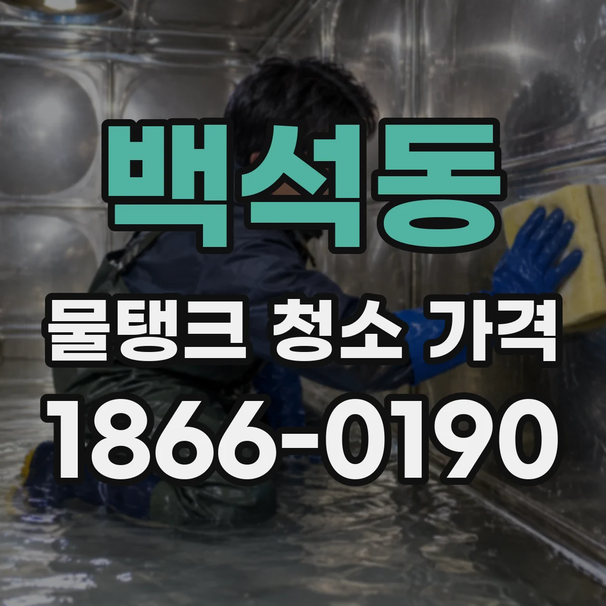 백석동 물탱크 청소 가격