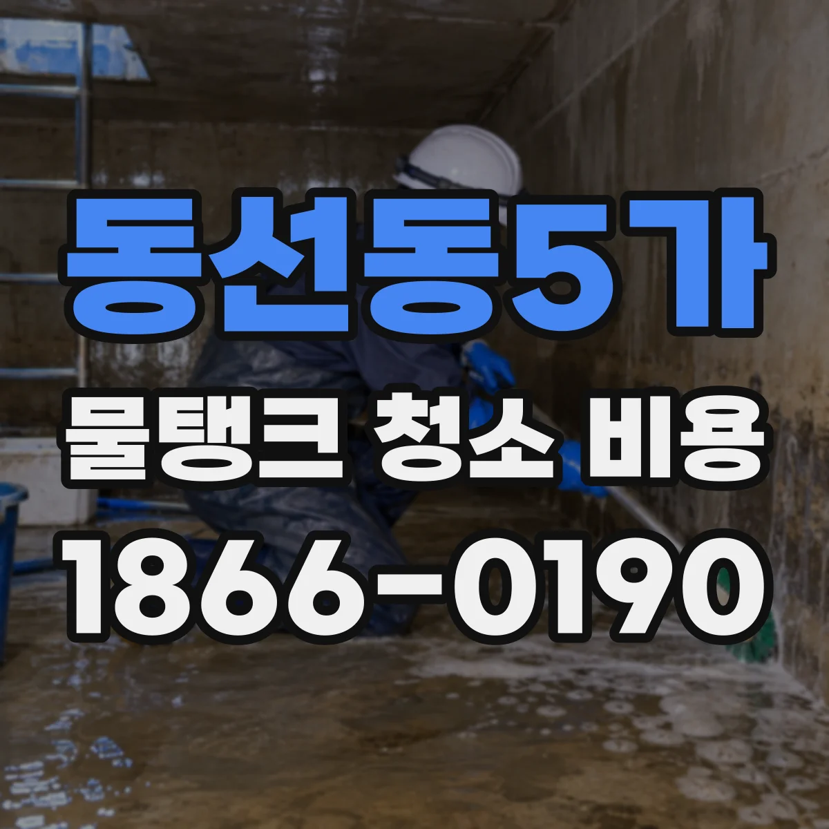동선동5가 물탱크 청소 비용